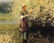 Spring Blossoms - 丹尼尔·李奇微爵士